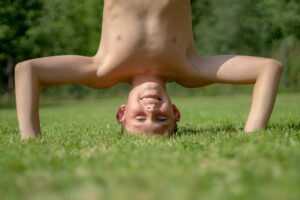 game civiliden ll5540 on pc